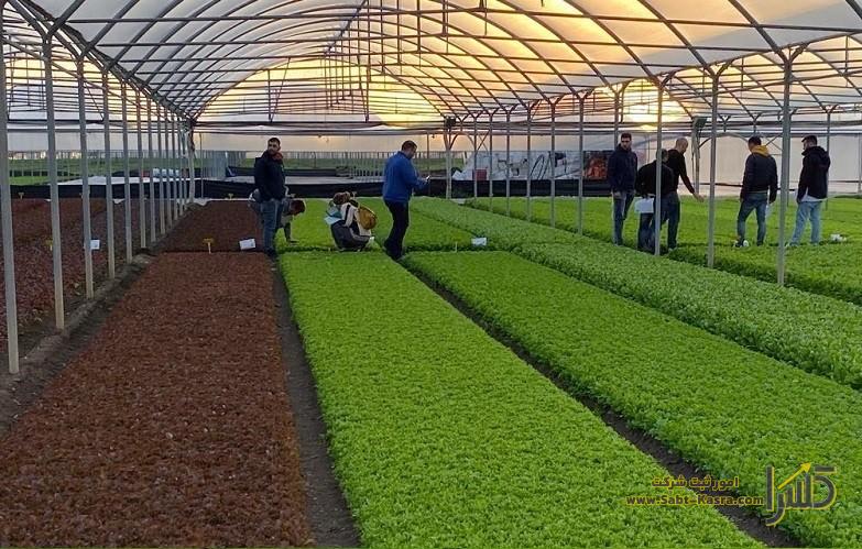 شرایط ثبت شرکت گلخانه ای در ایران